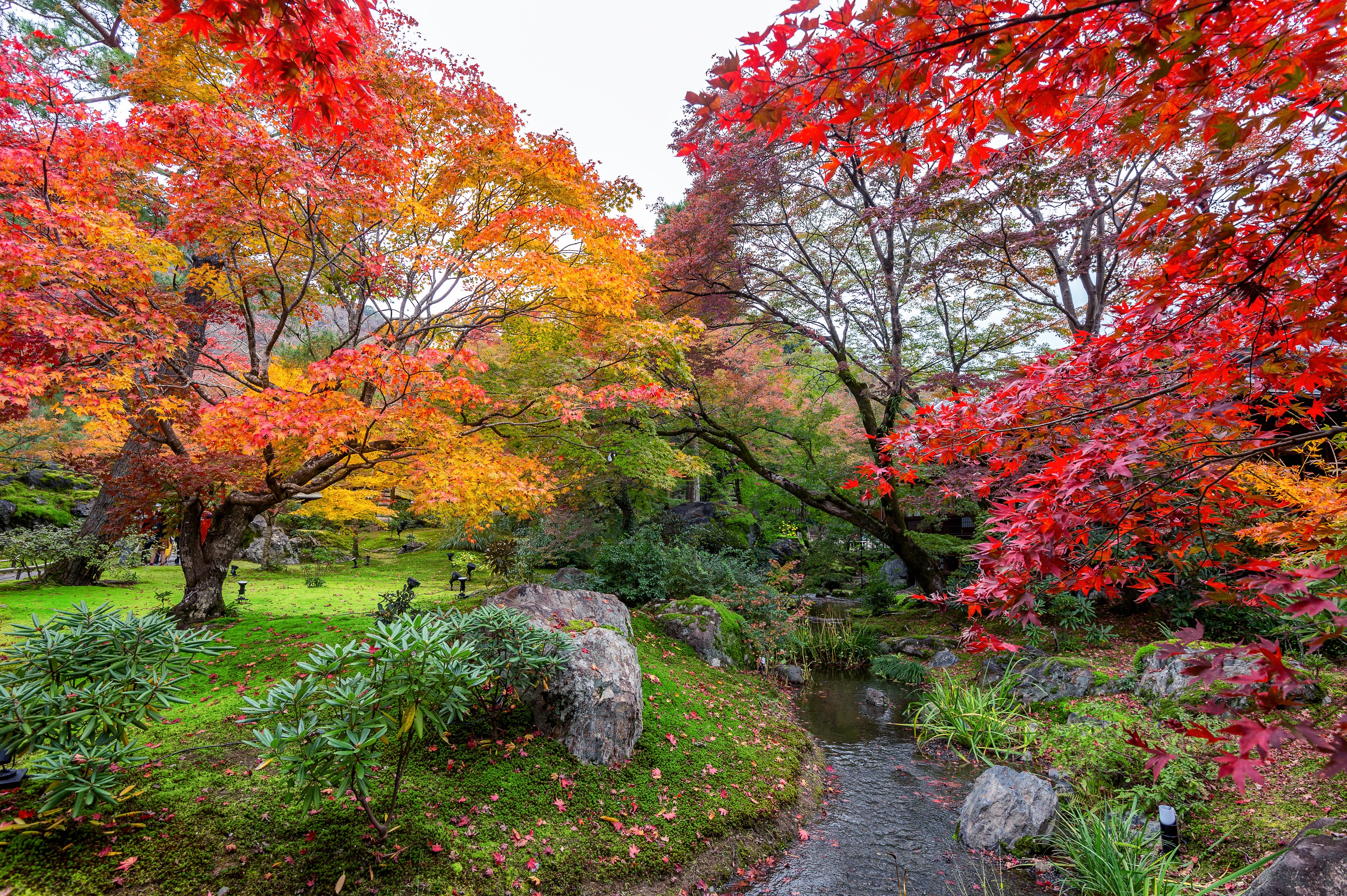A park in Japan in autumn colors